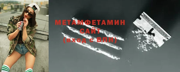 прущие грибы Санкт-Петербург