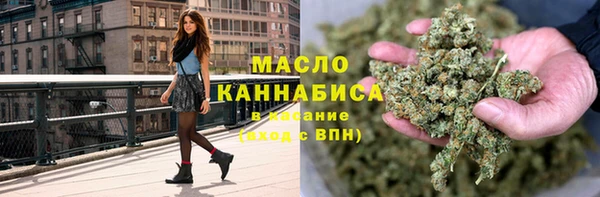 прущие грибы Санкт-Петербург