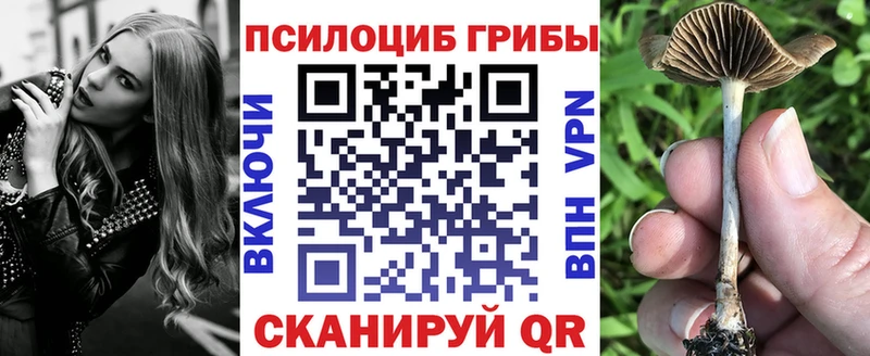 ссылка на мегу ссылки  наркошоп  Южноуральск  Псилоцибиновые грибы Magic Shrooms 
