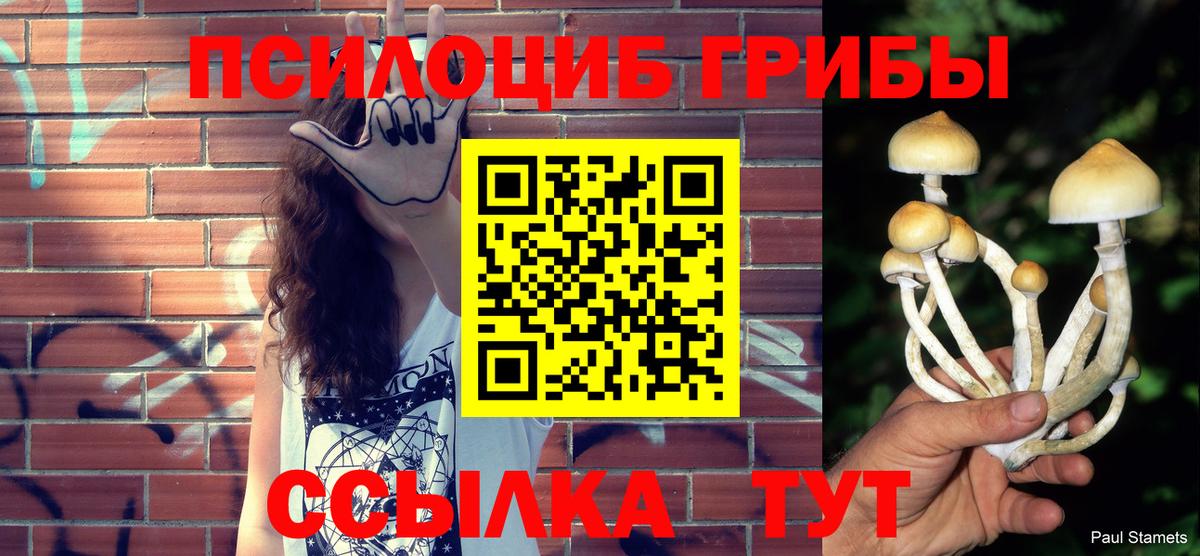 Южноуральск  Галлюциногенные грибы Magic Shrooms  Вход с VPN  Псилоцибиновые грибы GOLDEN TEACHER 